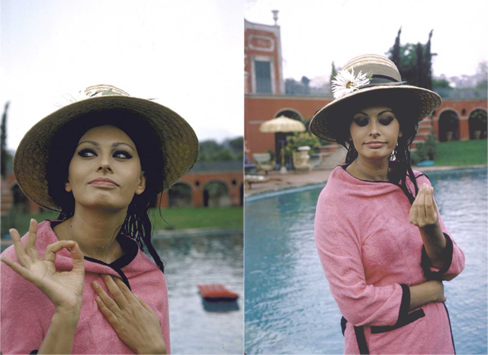 Sophia Loren in Pink